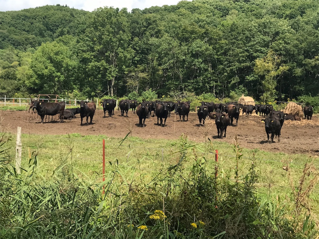 f:id:kurinikomi-hara:20171006142858j:image