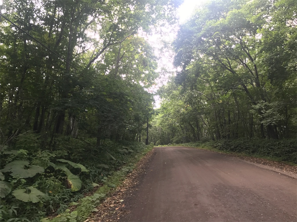 f:id:kurinikomi-hara:20171006150936j:image