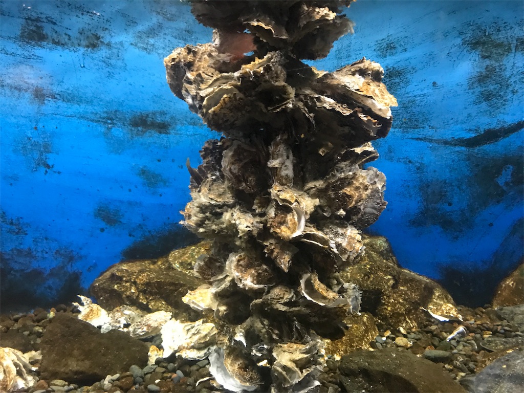 f:id:kurinikomi-hara:20171006155200j:image