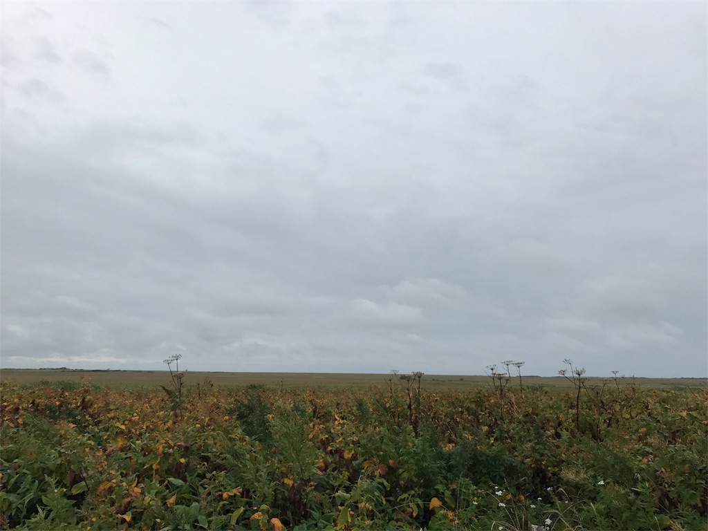 f:id:kurinikomi-hara:20171007153140j:image