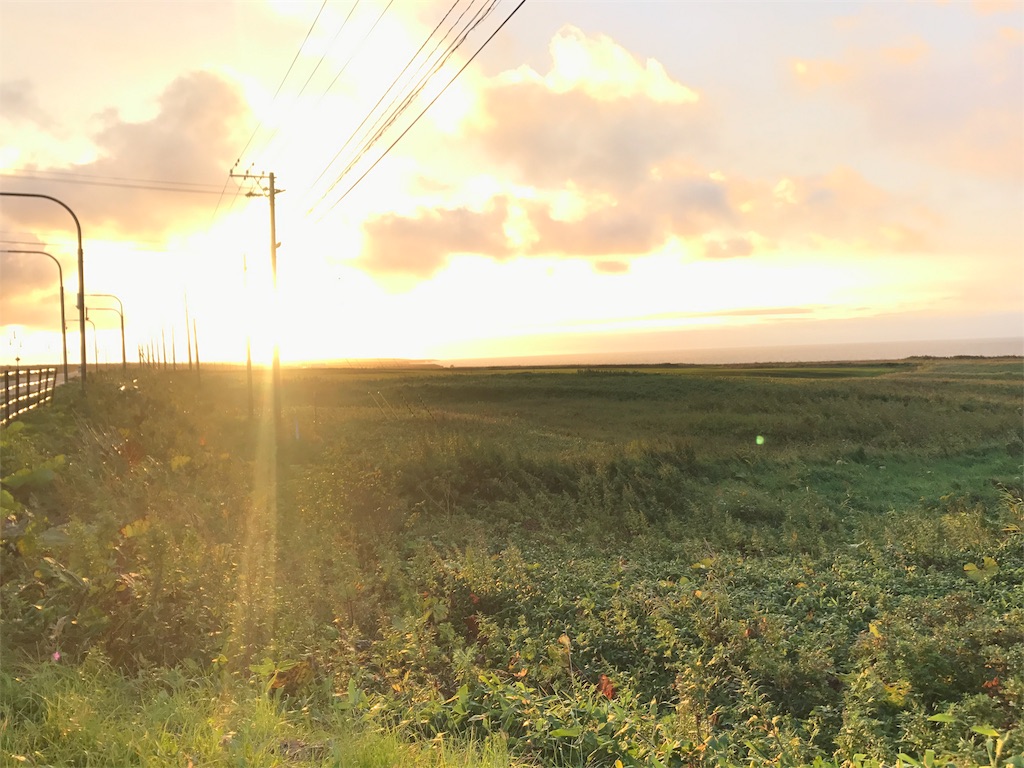 f:id:kurinikomi-hara:20171007194308j:image