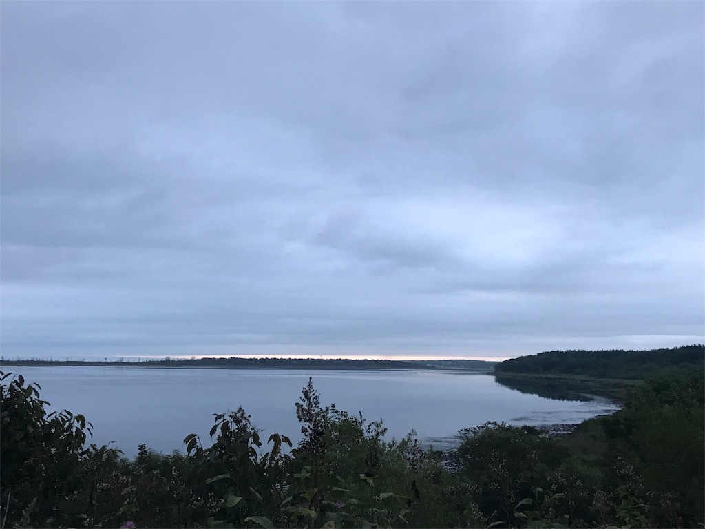 f:id:kurinikomi-hara:20171009153451j:image