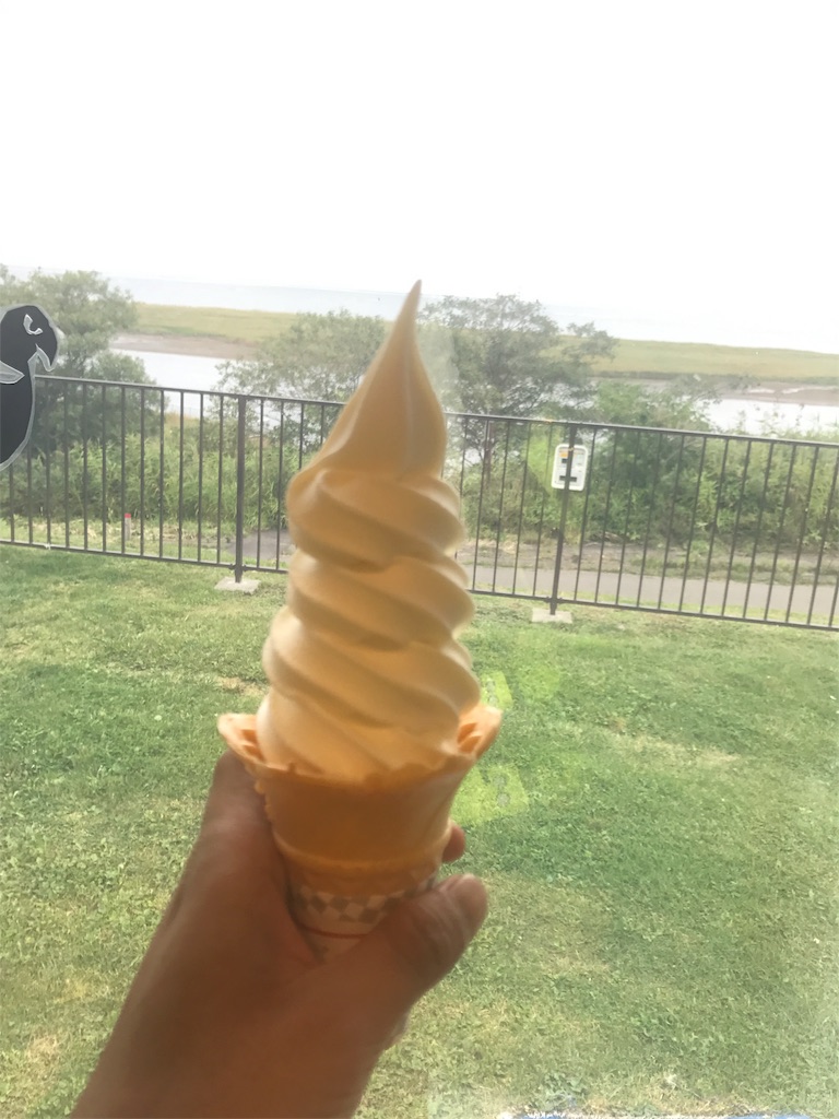 f:id:kurinikomi-hara:20171009161937j:image