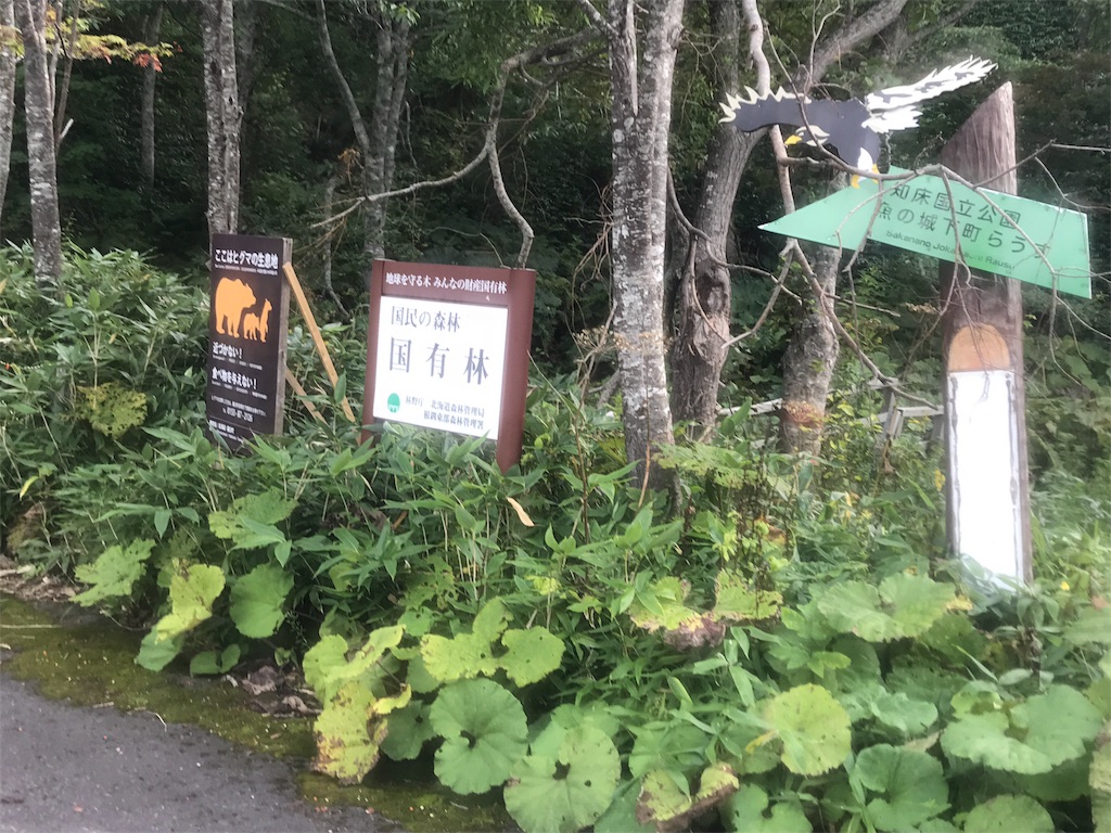 f:id:kurinikomi-hara:20171009171042j:image