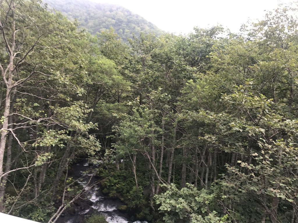 f:id:kurinikomi-hara:20171009173312j:image