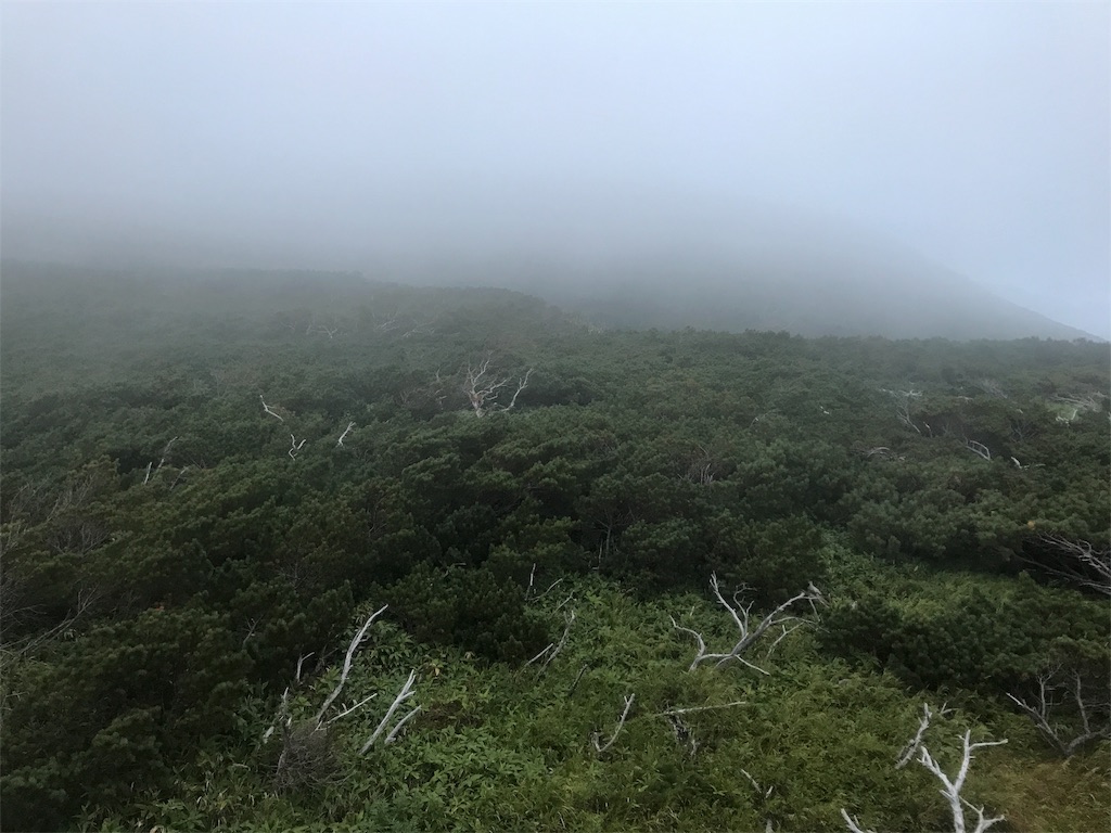 f:id:kurinikomi-hara:20171009174303j:image