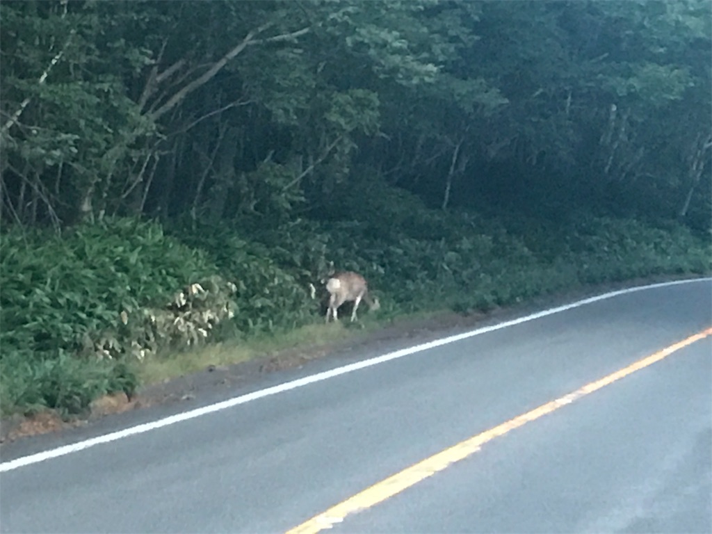f:id:kurinikomi-hara:20171009174714j:image