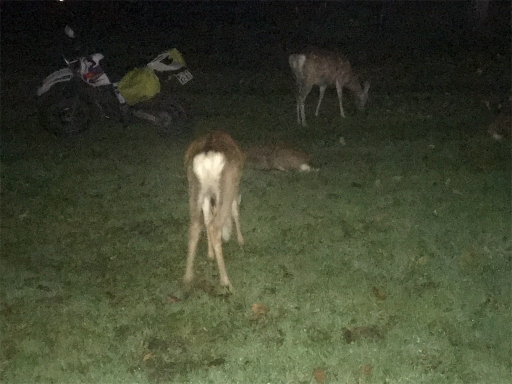 f:id:kurinikomi-hara:20171009180157j:image