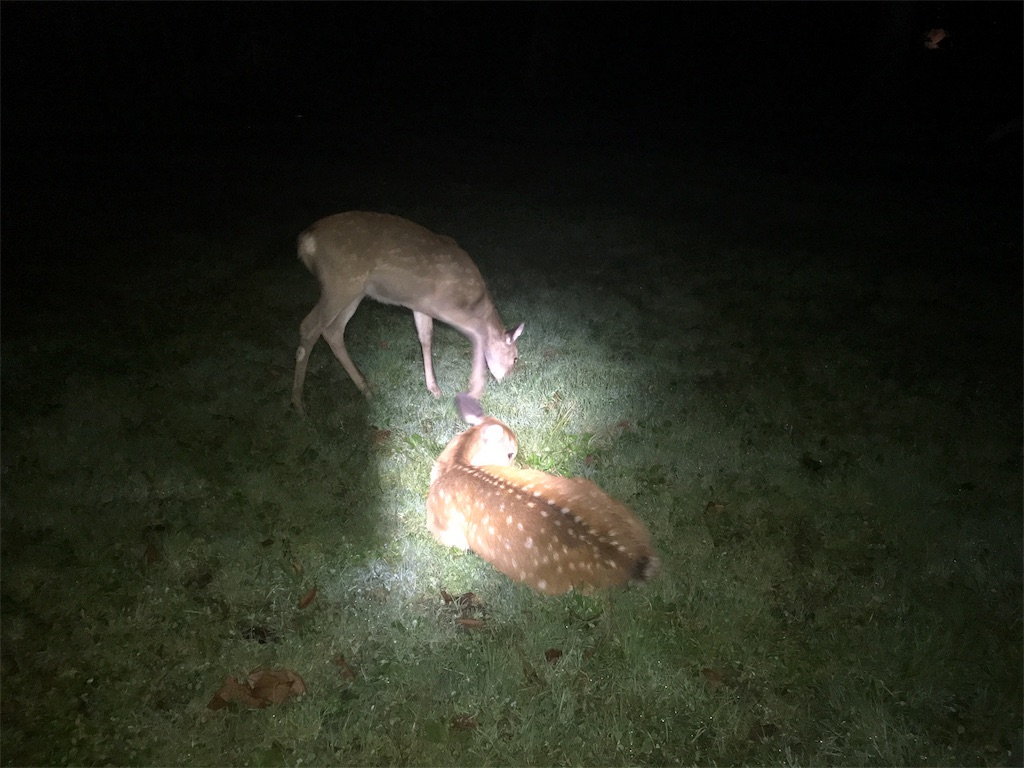 f:id:kurinikomi-hara:20171009180526j:image