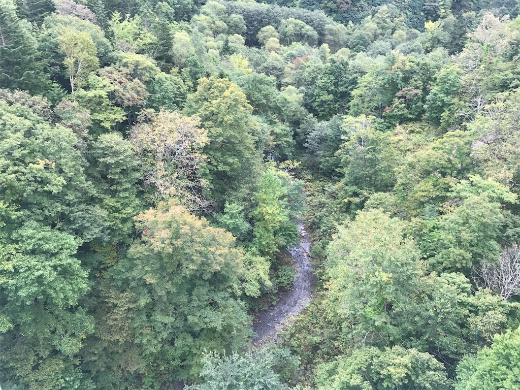 f:id:kurinikomi-hara:20171020213759j:image