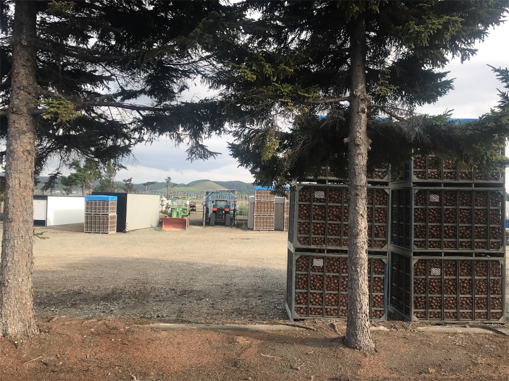 f:id:kurinikomi-hara:20171020221832j:image