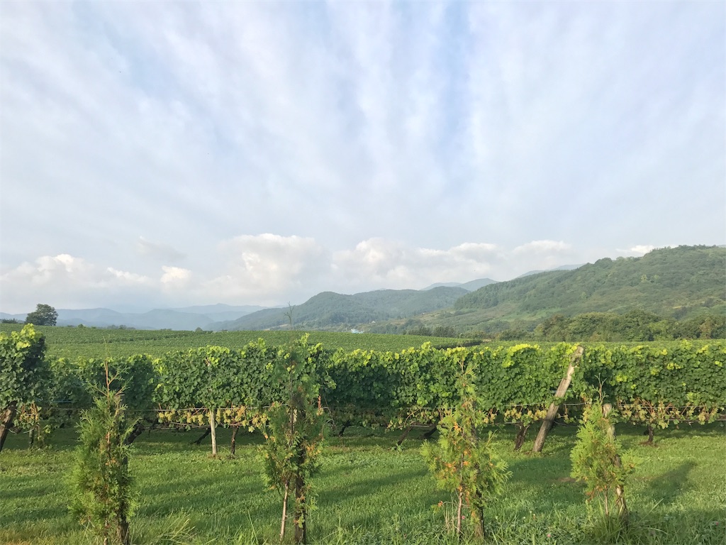 f:id:kurinikomi-hara:20171024154401j:image