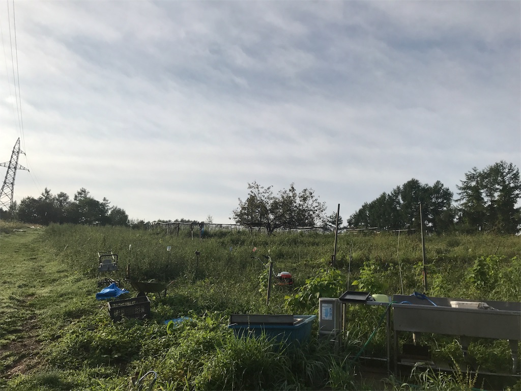 f:id:kurinikomi-hara:20171024170204j:image