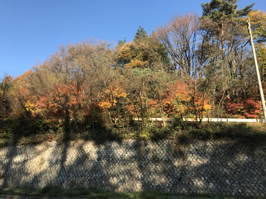 f:id:kurinikomi-hara:20171114162153j:plain