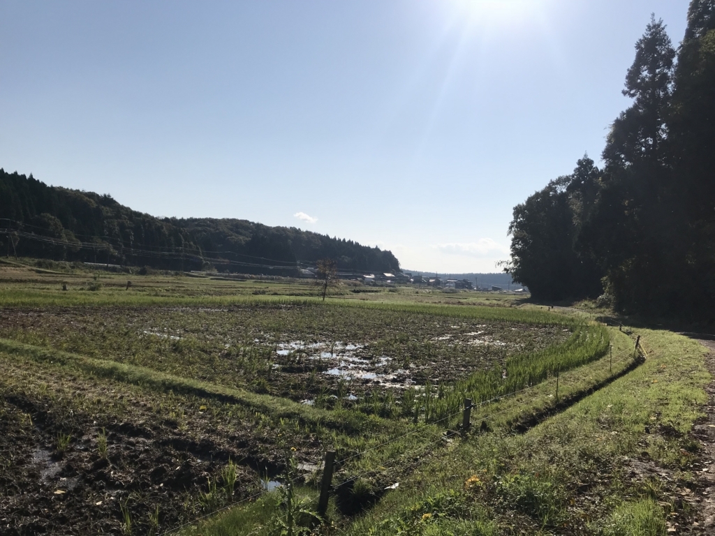 f:id:kurinikomi-hara:20171201170803j:plain f:id:kurinikomi-hara:20171201170803j:plain