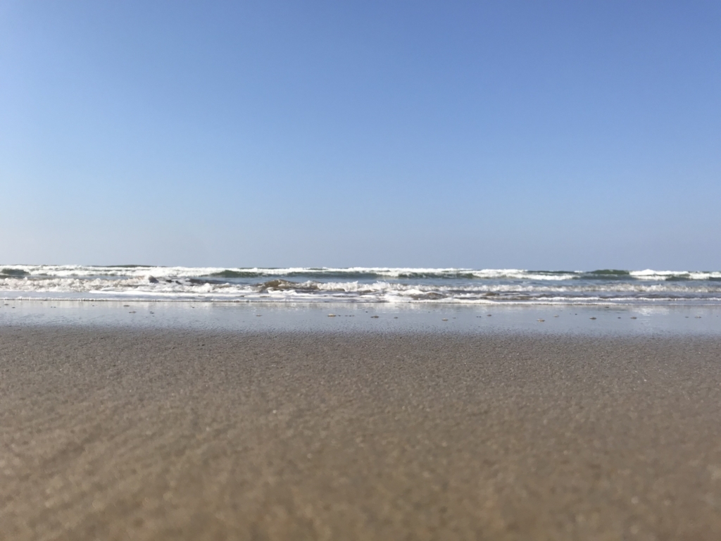 f:id:kurinikomi-hara:20171201172408j:plain f:id:kurinikomi-hara:20171201172408j:plain