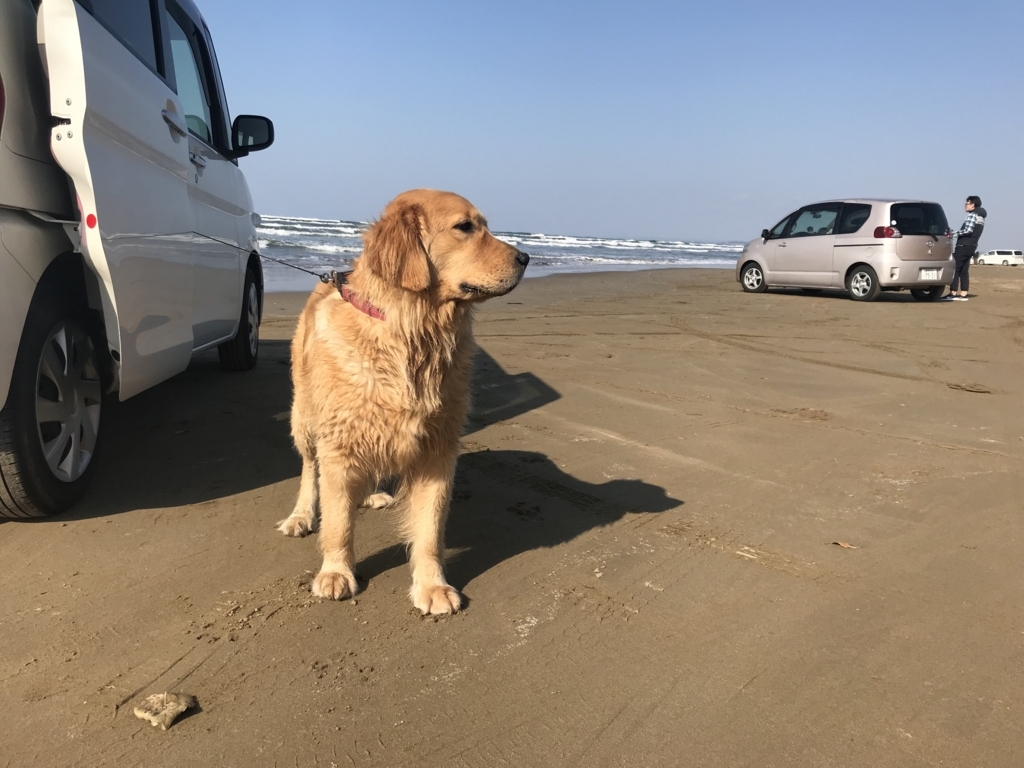 f:id:kurinikomi-hara:20171201172551j:plain f:id:kurinikomi-hara:20171201172551j:plain