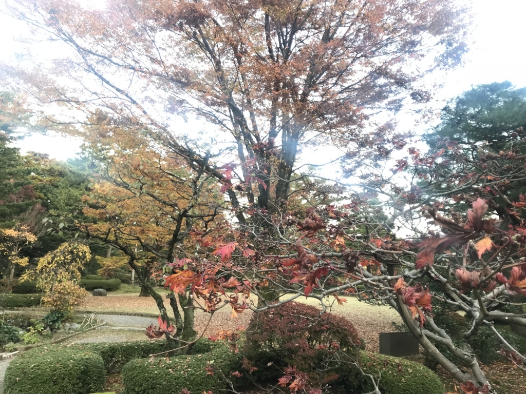 f:id:kurinikomi-hara:20171201173502j:plain f:id:kurinikomi-hara:20171201173502j:plain