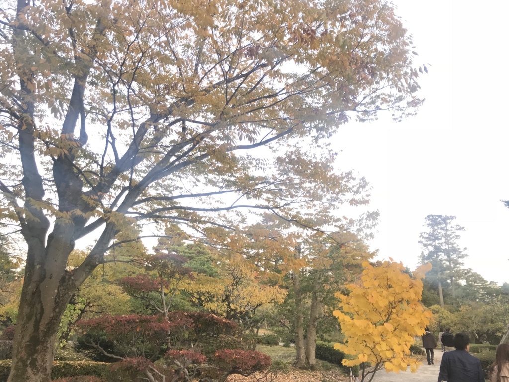 f:id:kurinikomi-hara:20171201173515j:plain f:id:kurinikomi-hara:20171201173515j:plain