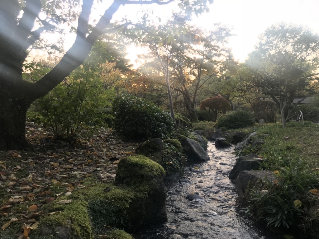 f:id:kurinikomi-hara:20171201173528j:plain f:id:kurinikomi-hara:20171201173528j:plain