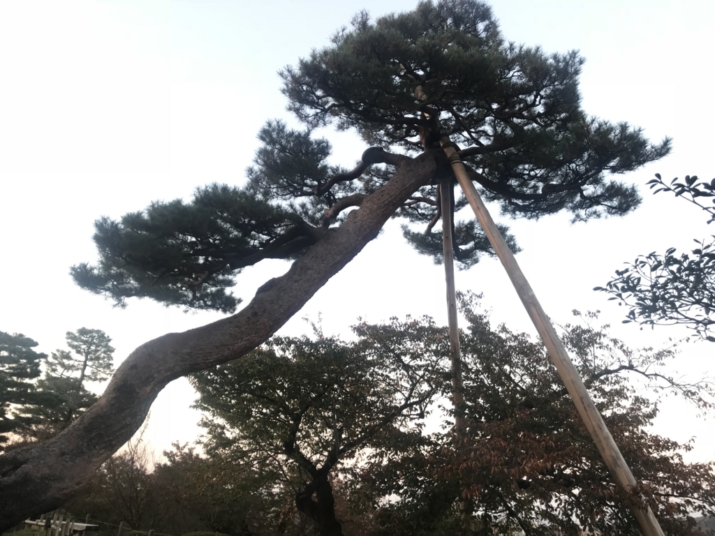 f:id:kurinikomi-hara:20171201173644j:plain f:id:kurinikomi-hara:20171201173644j:plain