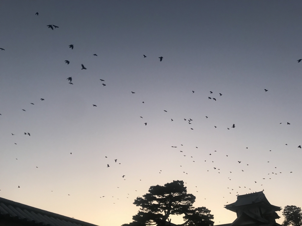 f:id:kurinikomi-hara:20171201173845j:plain f:id:kurinikomi-hara:20171201173845j:plain