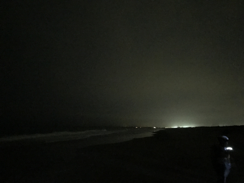 f:id:kurinikomi-hara:20171214171619j:plain