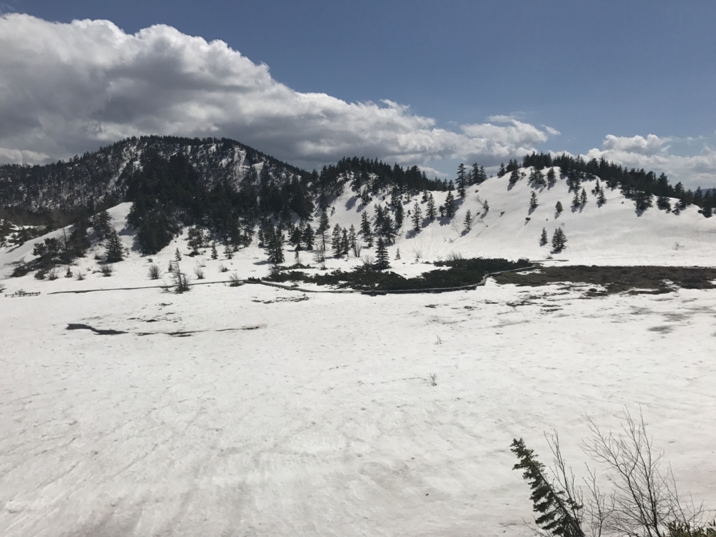 f:id:kurinikomi-hara:20171214174653j:plain