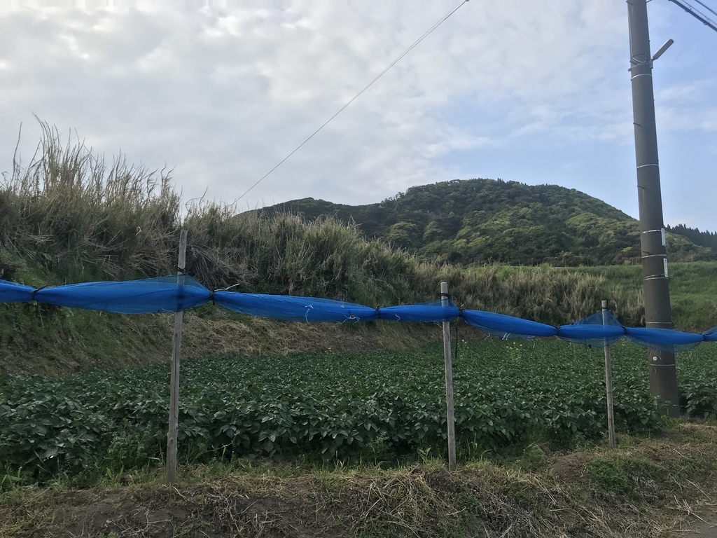 f:id:kurinikomi-hara:20181009175437j:plain