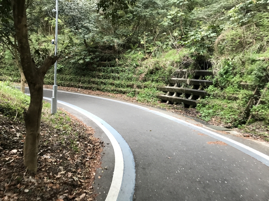 f:id:kurinikomi-hara:20190113014134j:plain