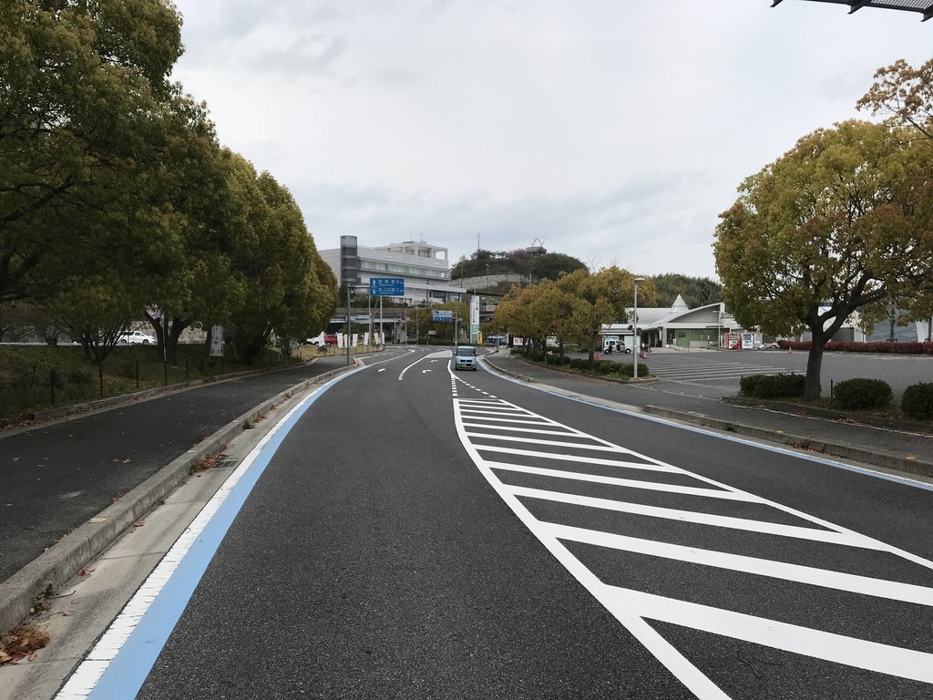 f:id:kurinikomi-hara:20190113014320j:plain