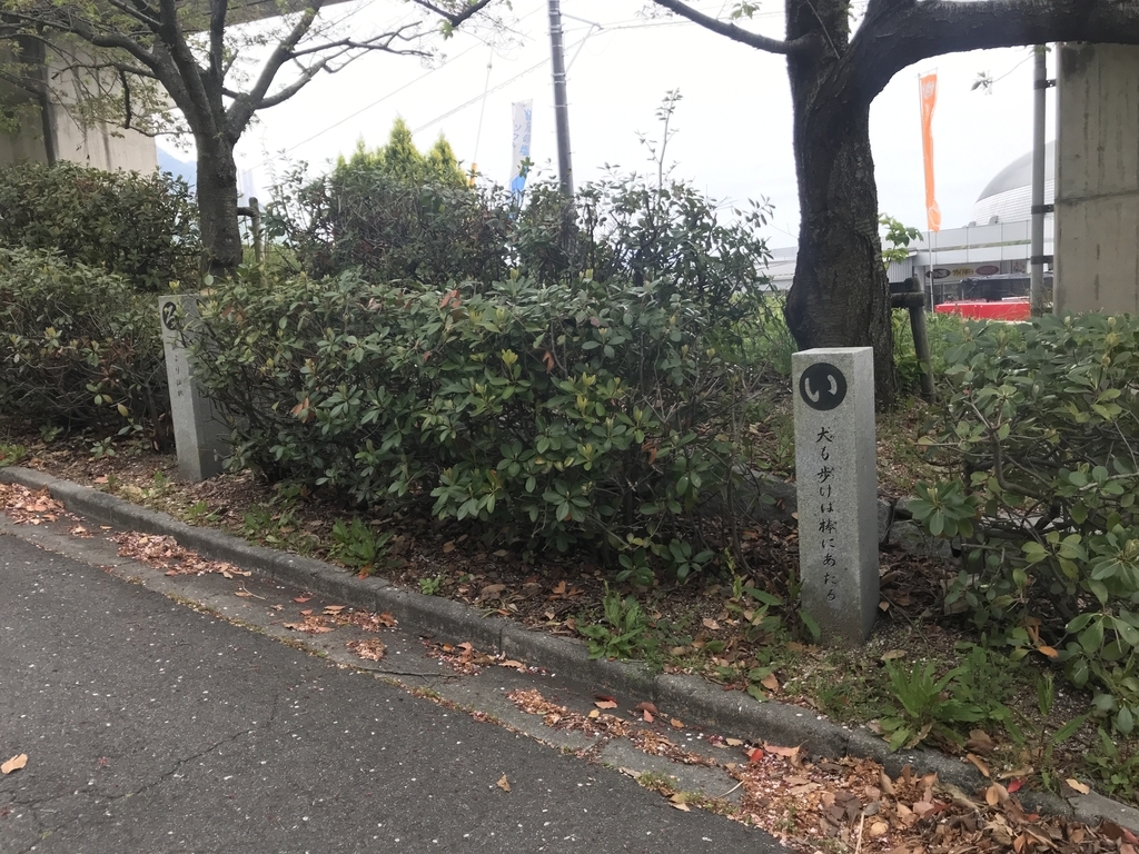 f:id:kurinikomi-hara:20190113014624j:plain