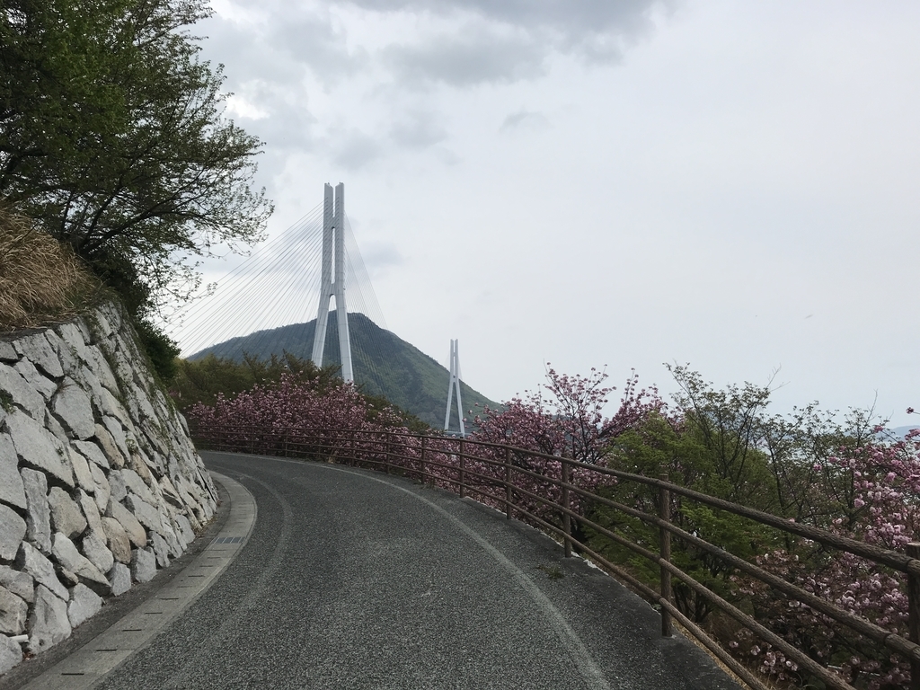 f:id:kurinikomi-hara:20190113014649j:plain