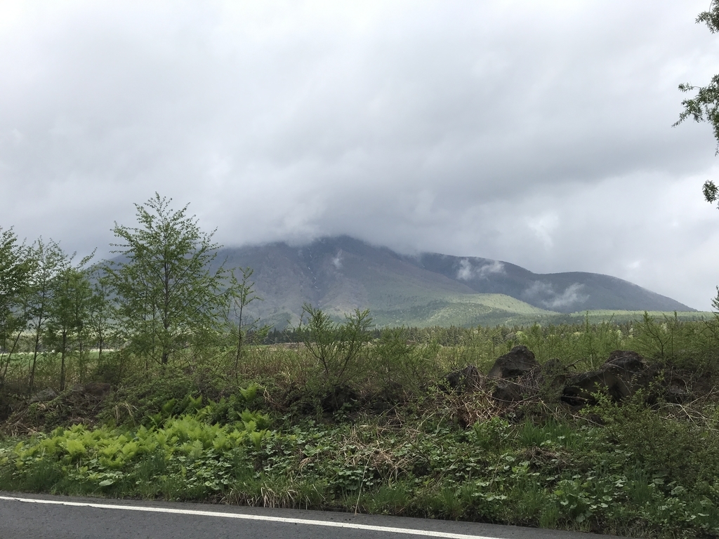 f:id:kurinikomi-hara:20190218154358j:plain