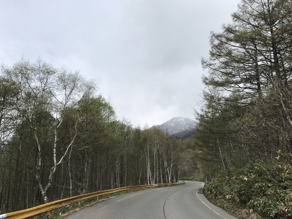 f:id:kurinikomi-hara:20190218154451j:plain