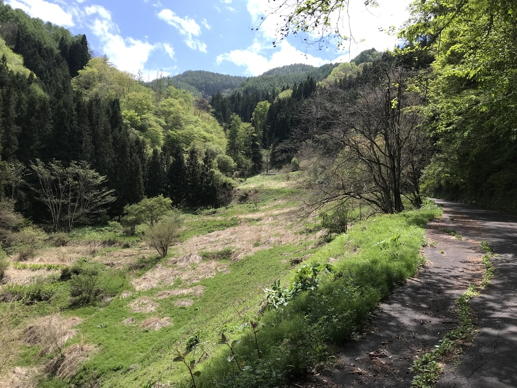 f:id:kurinikomi-hara:20190218154821j:plain