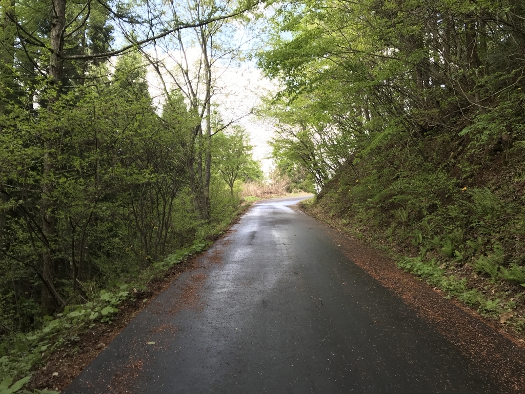 f:id:kurinikomi-hara:20190218154836j:plain