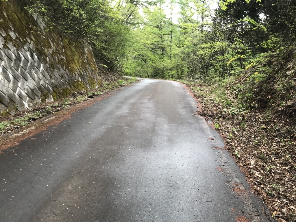 f:id:kurinikomi-hara:20190218154852j:plain