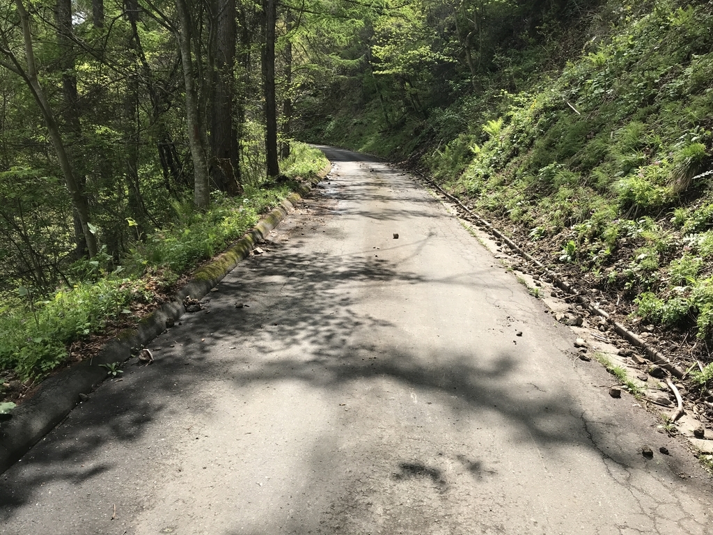 f:id:kurinikomi-hara:20190218155022j:plain