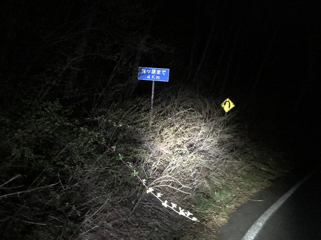 f:id:kurinikomi-hara:20190218155903j:plain