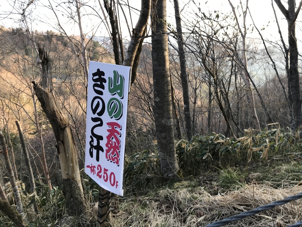 f:id:kurinikomi-hara:20190218160737j:plain f:id:kurinikomi-hara:20190218160737j:plain