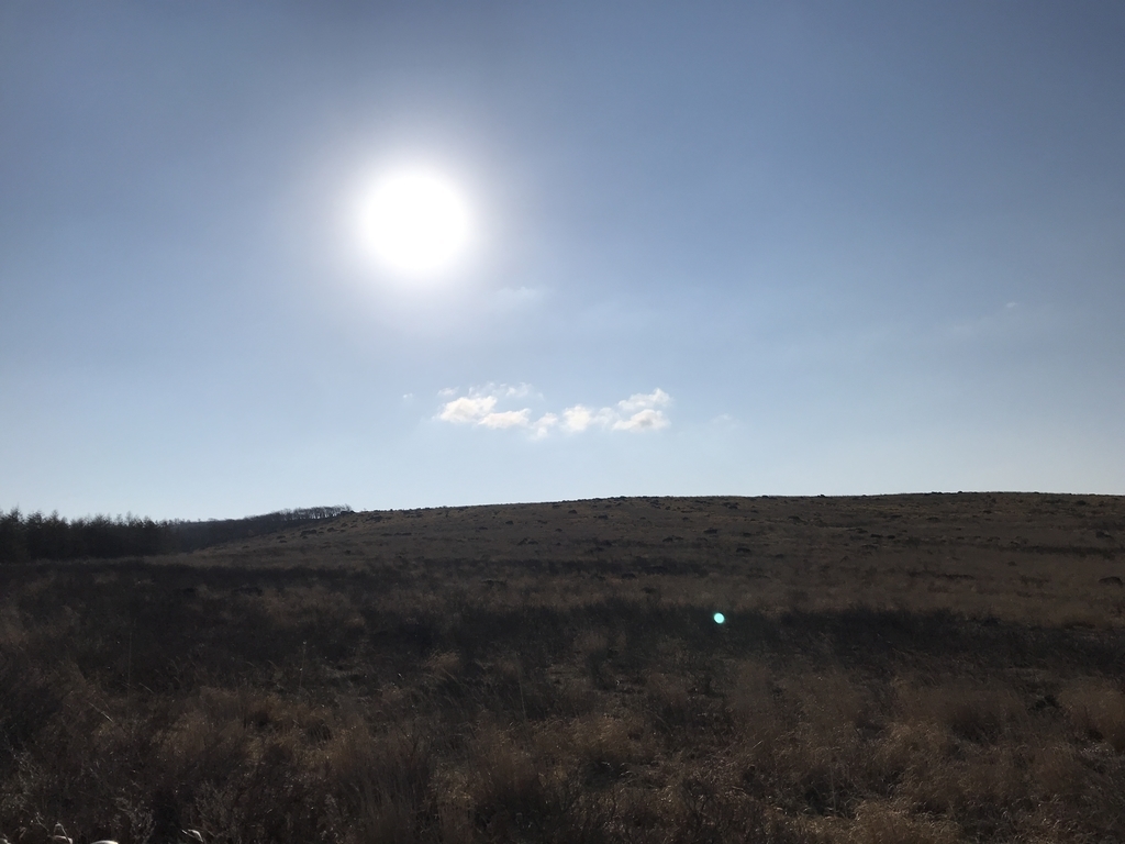 f:id:kurinikomi-hara:20190218161241j:plain f:id:kurinikomi-hara:20190218161241j:plain