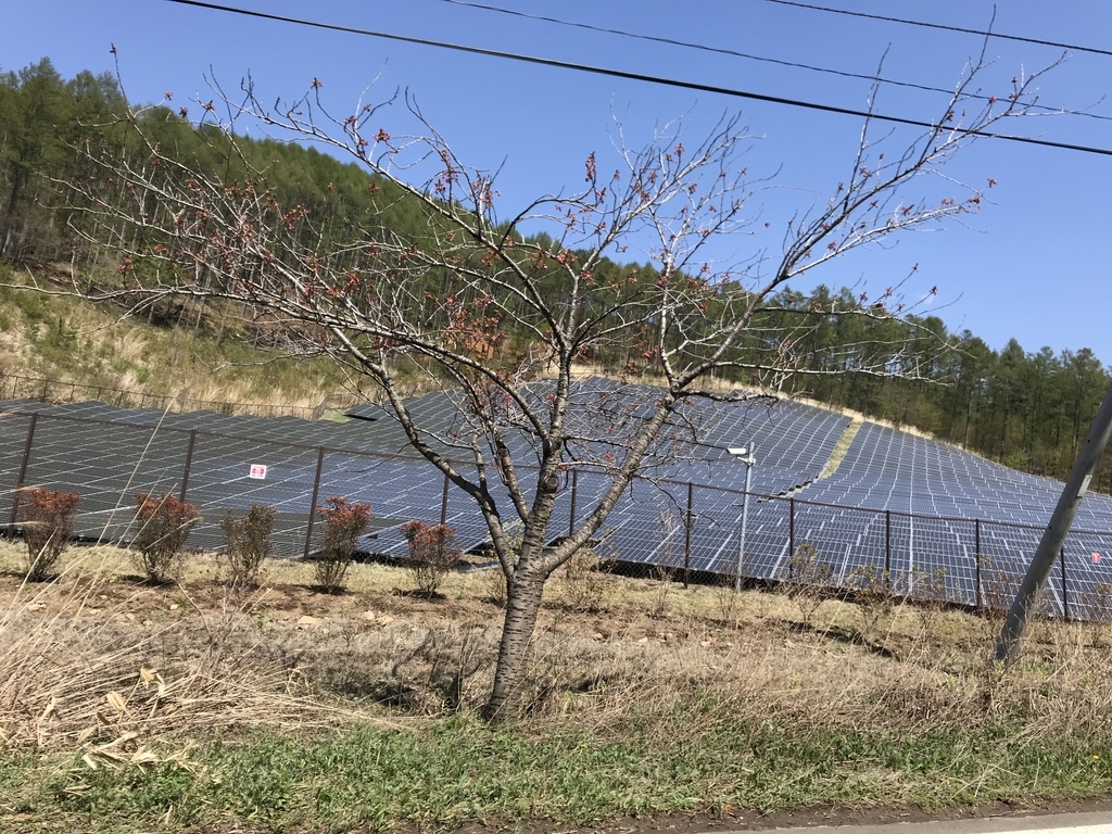 f:id:kurinikomi-hara:20190218161737j:plain f:id:kurinikomi-hara:20190218161737j:plain