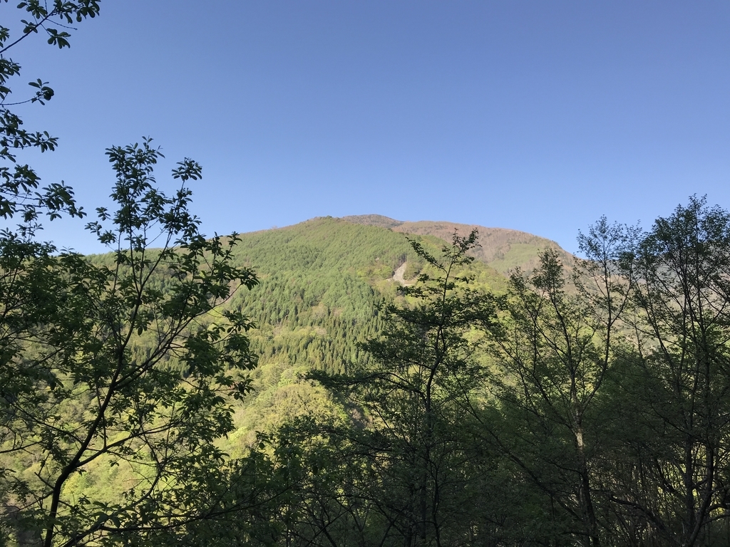 f:id:kurinikomi-hara:20190218163312j:plain f:id:kurinikomi-hara:20190218163312j:plain