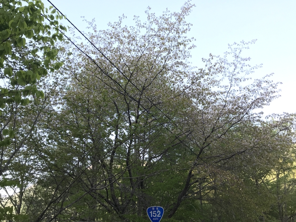 f:id:kurinikomi-hara:20190218163342j:plain f:id:kurinikomi-hara:20190218163342j:plain