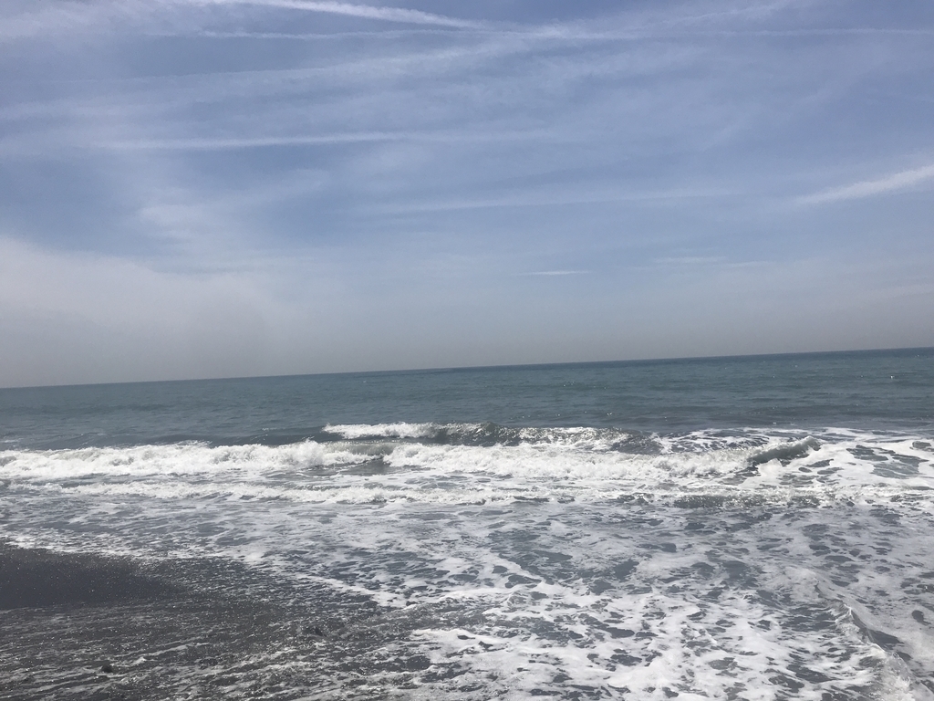 f:id:kurinikomi-hara:20190219153033j:plain f:id:kurinikomi-hara:20190219153033j:plain