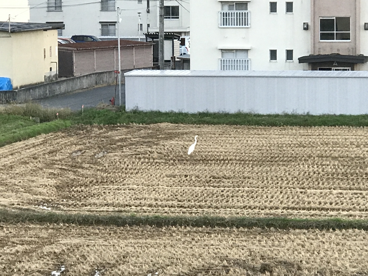 f:id:kurinikomi-hara:20190831031239j:plain