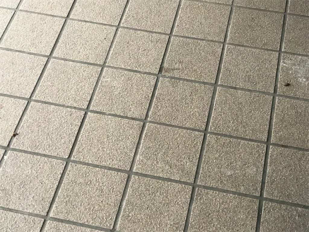 f:id:kurinikomi-hara:20191008133314j:image