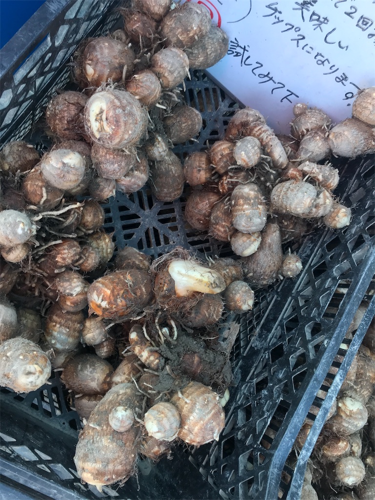 f:id:kurinikomi-hara:20191008133356j:image