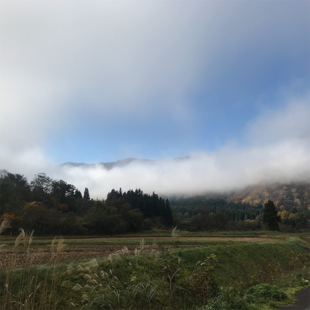 f:id:kurinikomi-hara:20191008133429j:image